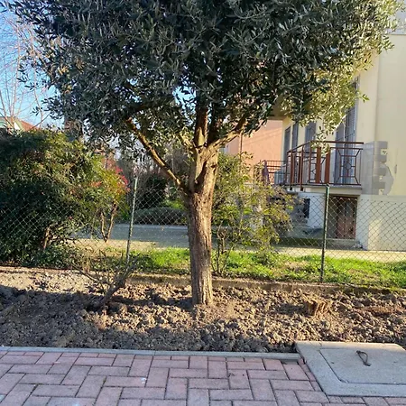 Apartment Confortevole A