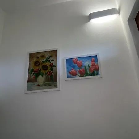 Apartment Confortevole A