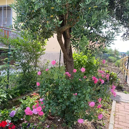 Rino 1 * Caorso