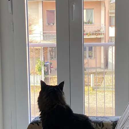 Rino 1 Apartman