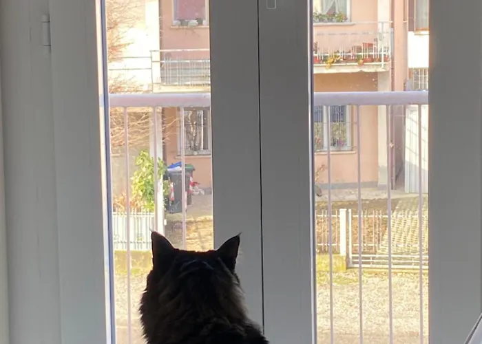 Rino 1 Apartment